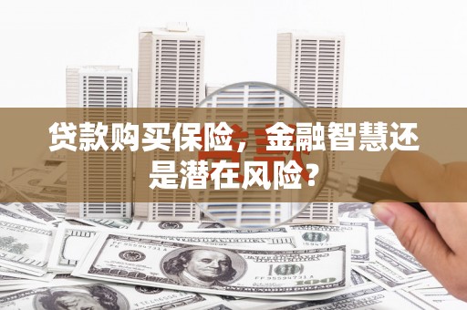 大武贷款购买保险，金融智慧还是潜在风险？