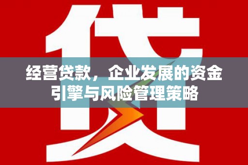 红星经营贷款，企业发展的资金引擎与风险管理策略