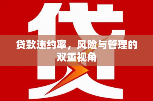 郊区贷款违约率，风险与管理的双重视角