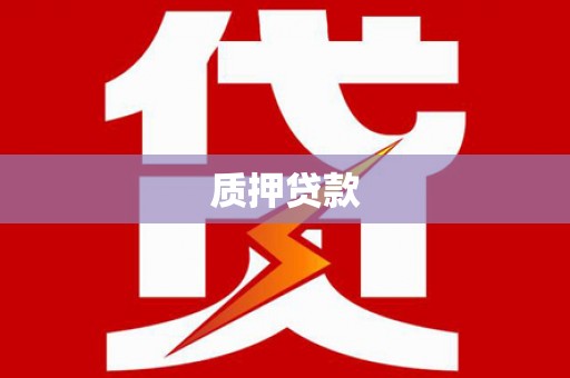 川汇质押贷款