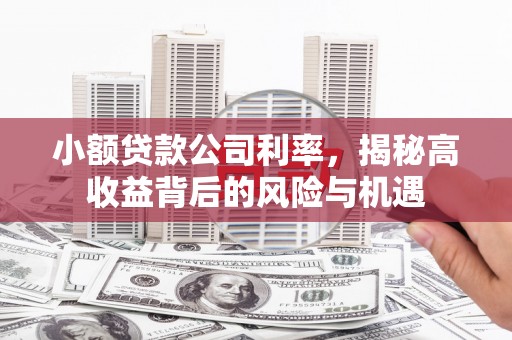 兴山小额贷款公司利率，揭秘高收益背后的风险与机遇
