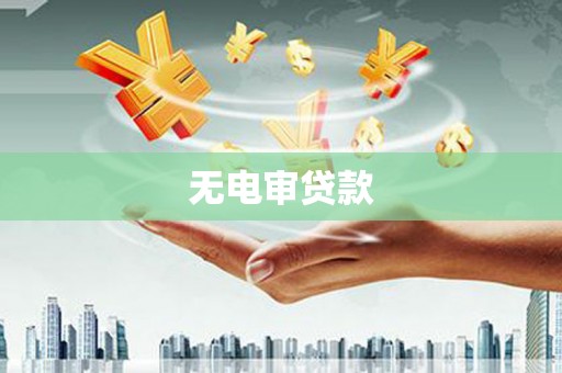 田林无电审贷款