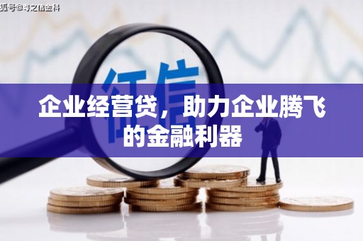 边坝企业经营贷，助力企业腾飞的金融利器