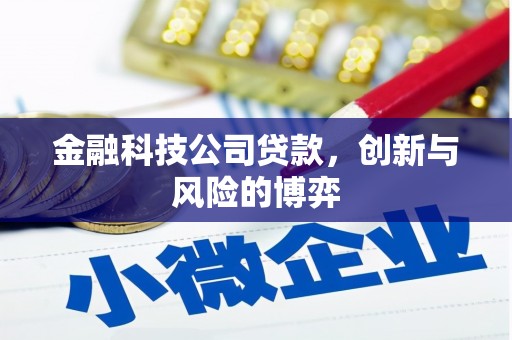 六横金融科技公司贷款，创新与风险的博弈