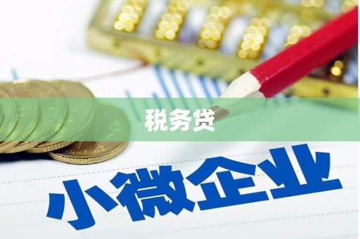 漳平税务贷