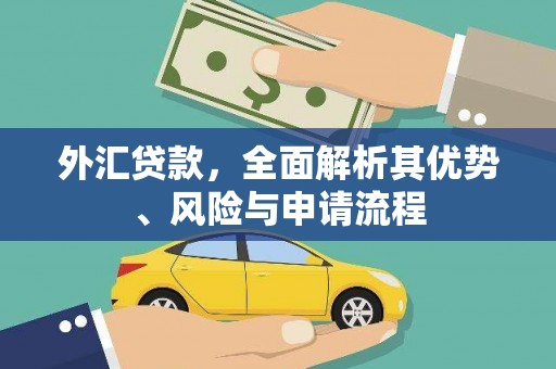遂溪外汇贷款，全面解析其优势、风险与申请流程