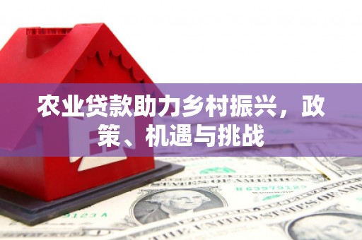 柳河农业贷款助力乡村振兴，政策、机遇与挑战