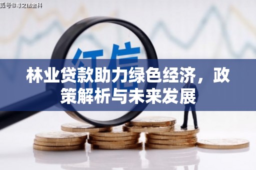 巧家林业贷款助力绿色经济，政策解析与未来发展