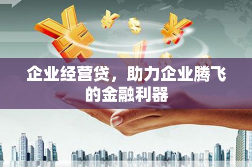长岭企业经营贷，助力企业腾飞的金融利器