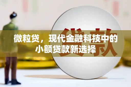 大溪微粒贷，现代金融科技中的小额贷款新选择