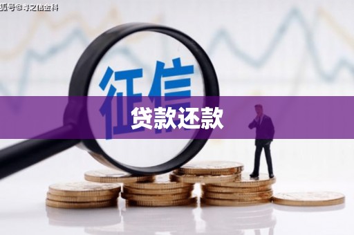 卓尼贷款还款