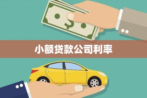 阿里小额贷款公司利率