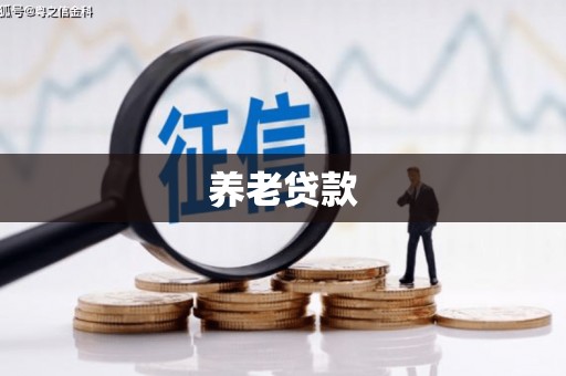 潍城养老贷款