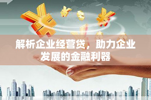 上林解析企业经营贷，助力企业发展的金融利器
