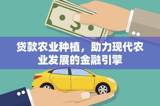 嘉禾贷款农业种植，助力现代农业发展的金融引擎