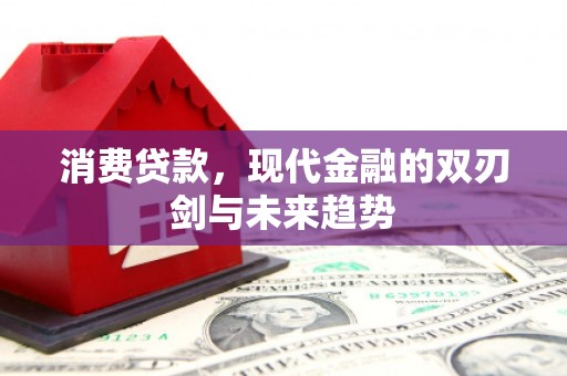定远消费贷款，现代金融的双刃剑与未来趋势