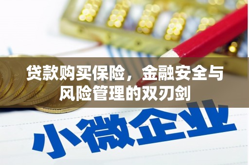 阿勒泰贷款购买保险，金融安全与风险管理的双刃剑