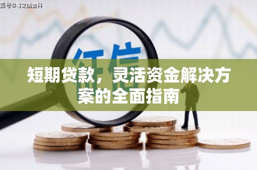 茂林短期贷款，灵活资金解决方案的全面指南