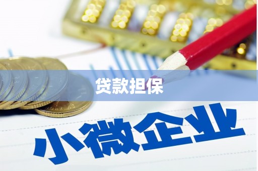 明溪贷款担保