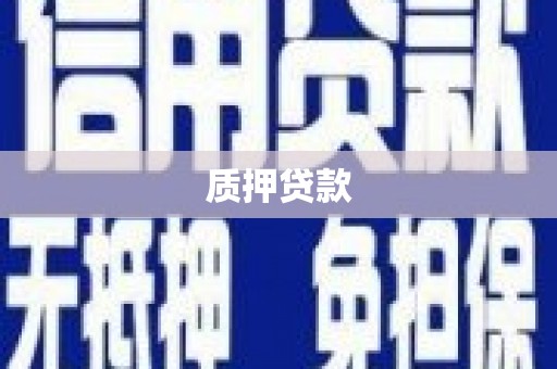 礼县质押贷款