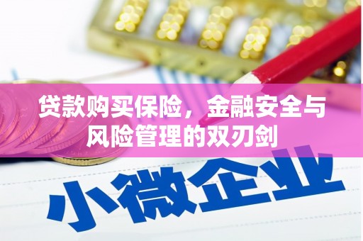 新田贷款购买保险，金融安全与风险管理的双刃剑
