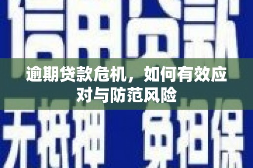 广河逾期贷款危机，如何有效应对与防范风险