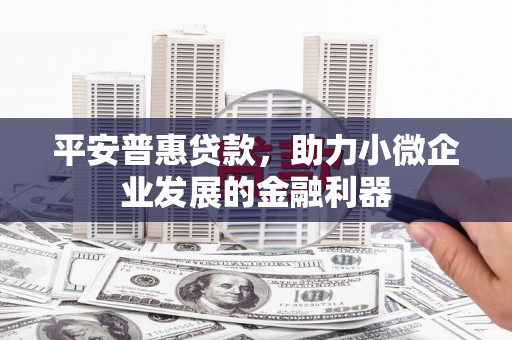 学甲平安普惠贷款，助力小微企业发展的金融利器