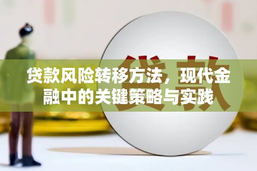 禄丰贷款风险转移方法，现代金融中的关键策略与实践