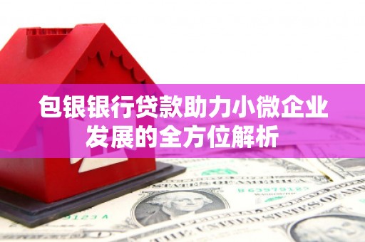 凤林包银银行贷款助力小微企业发展的全方位解析