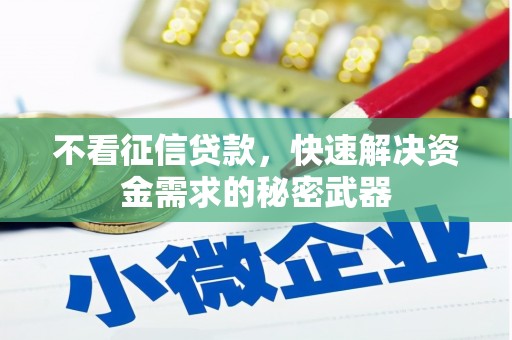 黄石港不看征信贷款，快速解决资金需求的秘密武器