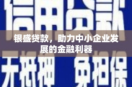 久治银盛贷款，助力中小企业发展的金融利器