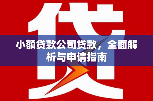 子长小额贷款公司贷款，全面解析与申请指南