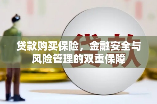 鸡东贷款购买保险，金融安全与风险管理的双重保障