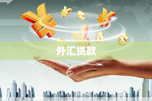 长顺外汇贷款