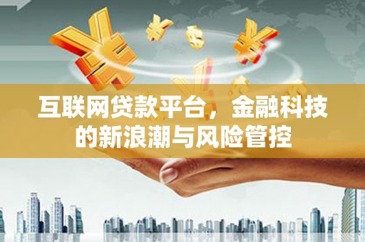 民和互联网贷款平台，金融科技的新浪潮与风险管控