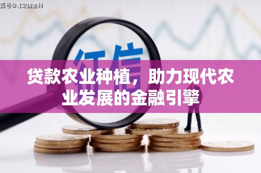 海原贷款农业种植，助力现代农业发展的金融引擎