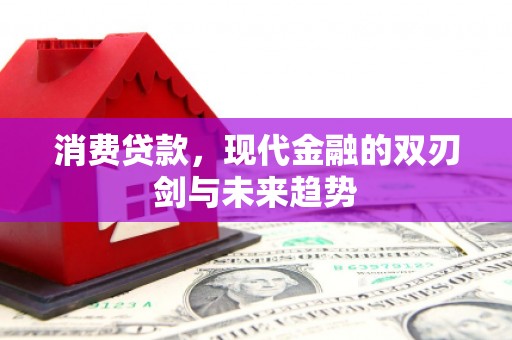 高埗消费贷款，现代金融的双刃剑与未来趋势