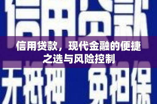 惠济信用贷款，现代金融的便捷之选与风险控制