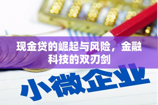 东营现金贷的崛起与风险，金融科技的双刃剑