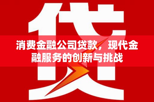岭东消费金融公司贷款，现代金融服务的创新与挑战