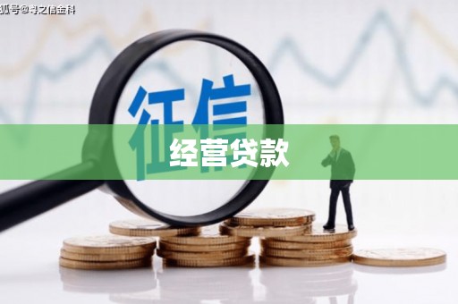 双柏经营贷款