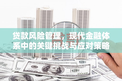 濮阳贷款风险管理，现代金融体系中的关键挑战与应对策略