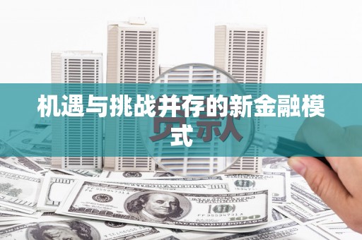 永定机遇与挑战并存的新金融模式
