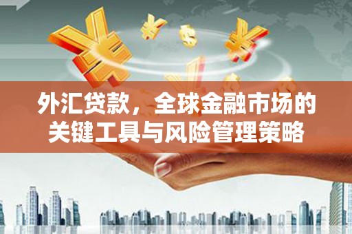 杭锦后旗外汇贷款，全球金融市场的关键工具与风险管理策略