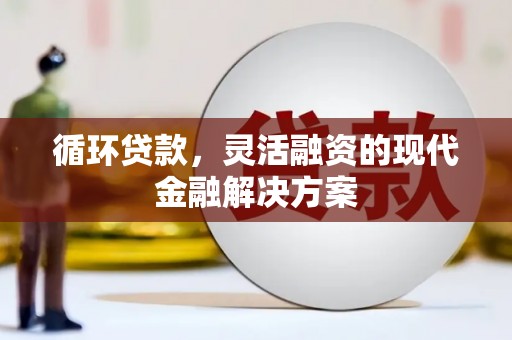 利辛循环贷款，灵活融资的现代金融解决方案