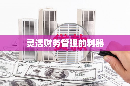 巴马灵活财务管理的利器