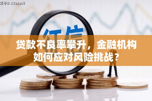龙游贷款不良率攀升，金融机构如何应对风险挑战？