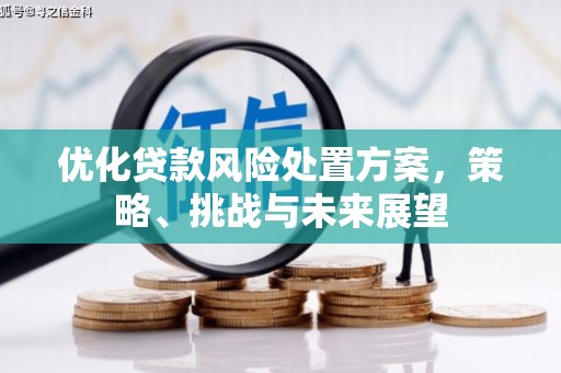 东石优化贷款风险处置方案，策略、挑战与未来展望