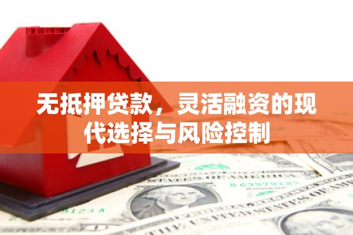 林甸无抵押贷款，灵活融资的现代选择与风险控制