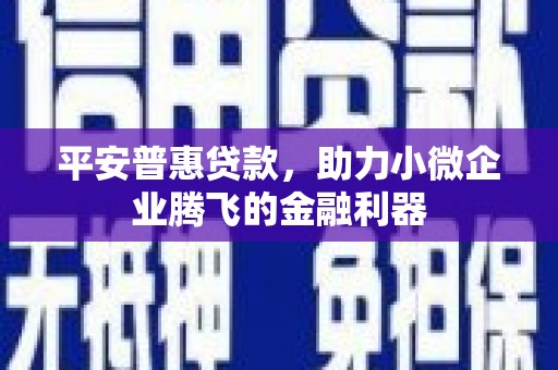 光泽平安普惠贷款，助力小微企业腾飞的金融利器